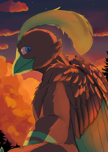 Sunset 2025